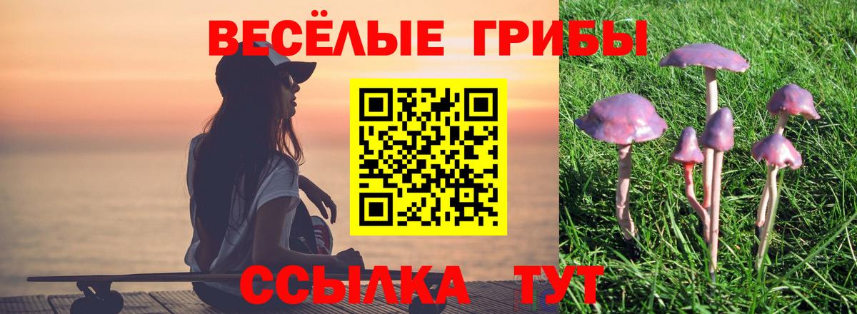 Псилоцибиновые грибы прущие грибы  Галлюциногенные грибы Magic Shrooms  Вход с VPN  Чайковский 